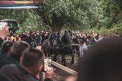 Nouă reglementare vizată pentru protecția animalelor: Interzicerea anumitor concursuri și spectacole