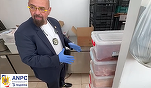 Piedone debarcă la Costinești - camere ca după război: România NU e tomberonul nimănui! 