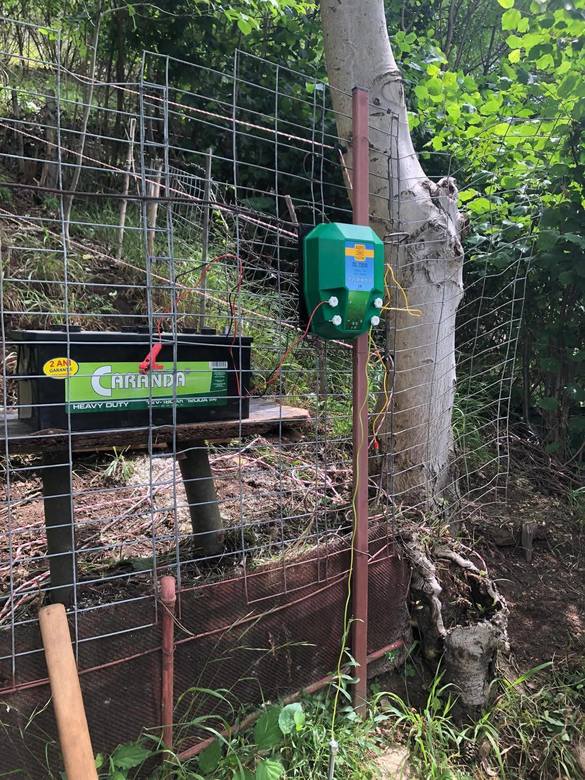 FOTO Primul oraș din România care își montează gard electric contra urșilor