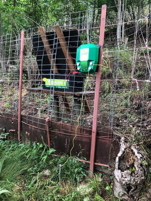 FOTO Primul oraș din România care își montează gard electric contra urșilor