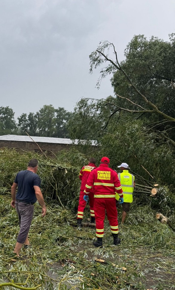 VIDEO&FOTO Furtuni cu grindină, străzi inundate, copaci doborâți, drumuri blocate 