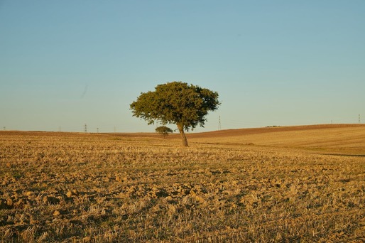 Alertă meteo în România - Vin temperaturi neobișnuit de mari