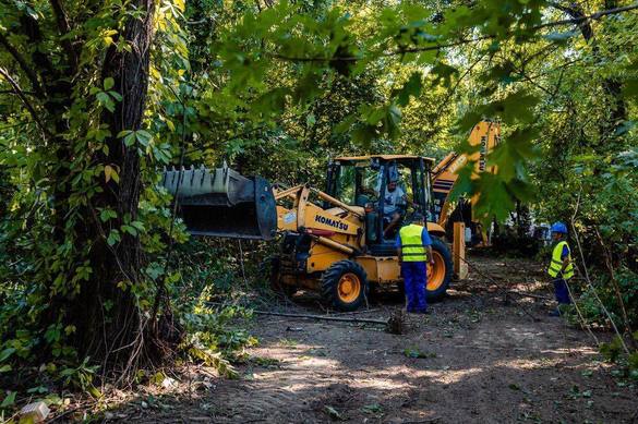 Parcul Herăstrău intră în refacere după ani de amânări. Zone cu risc de prăbușire FOTO