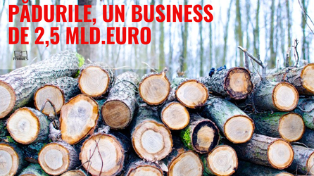  Explozie și incendiu la o fabrică de prelucrare a lemnului din Hunedoara