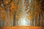 Avertizare meteo - Val de aer polar în România