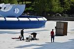 FOTO Ciucu are o nouă idee - Ridică la serele exotice din Parcul Drumul Taberei un loc pentru \