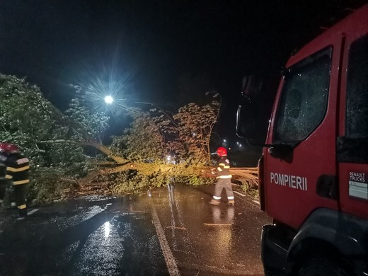 Haos în București și județe după furtună - Sute de copaci la pământ, mașini lovite VIDEO