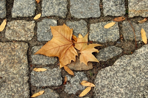 Anunț meteo: Temperaturi de până la 20 de grade, apoi răcire bruscă