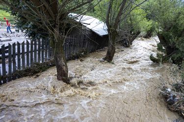 Ploile continuă. Numeroase pagube în Muntenia. Drumuri avariate, copaci căzuți și inundații. Tulcea e sub cod galben