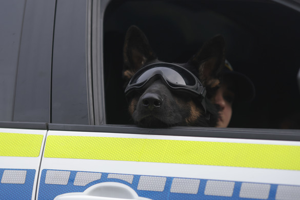 Imagini spectaculoase - 3.000 militari, inclusiv străini, pe sub Arcul de Triumf FOTO&VIDEO