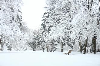 ALERTĂ meteo: Cod galben de vânt puternic, ninsori viscolite și polei în aproape jumătate din țară