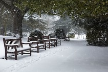 Toate primăriile din București au intrat în alertă. A fost emis Cod galben de ninsori și polei. În Sectorul 6 deja se împrăștie material antiderapant 