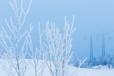 ANUNȚ Valul de ger continuă. Urmează apoi o încălzire bruscă