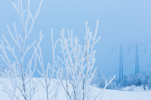 ANUNȚ Valul de ger continuă. Urmează apoi o încălzire bruscă