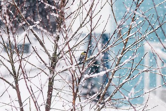 ANUNȚ Vremea se răcește puternic, temperaturile scad până la -14 grade