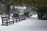 Sute de cabane și vile din Prahova și Brașov au rămas libere de Paște