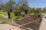 FOTO Prima grădină de ploaie din București, în Parcul Tineretului