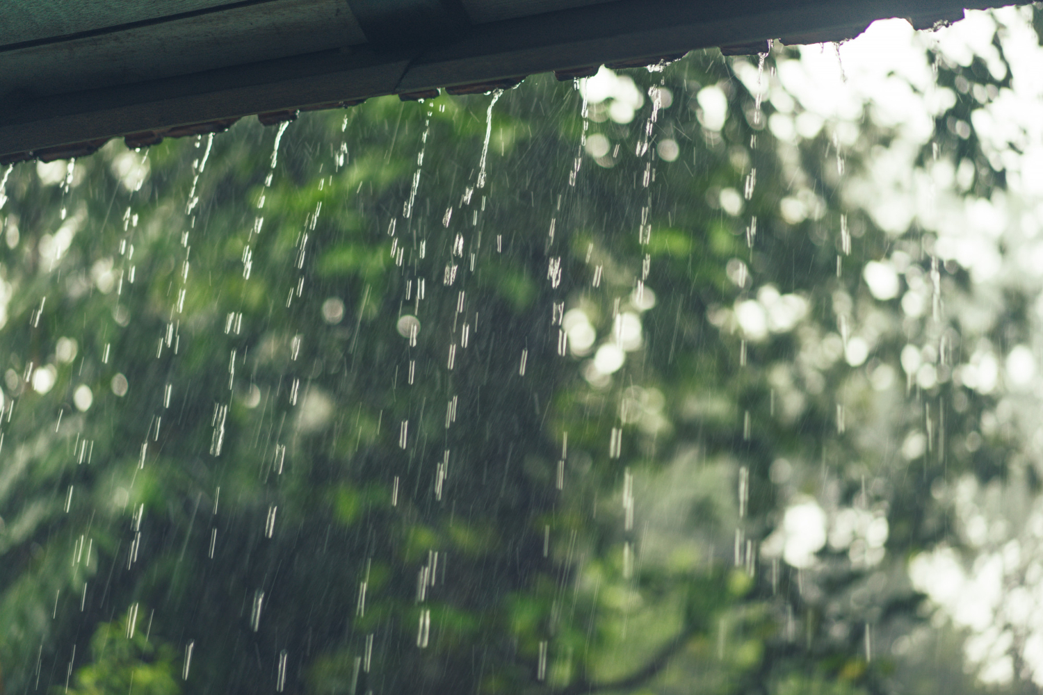 METEO Prognoză schimbată radical pentru minivacanța de 1 Mai. Temperaturile scad puternic, ploi în sud-estul țării