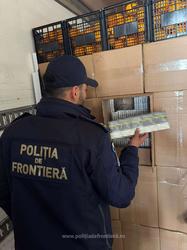 FOTO Captură uriașă a polițiștilor de frontieră: peste 7 milioane de țigarete, în valoare de peste 2 milioane de euro, ascunse într-un transport de citrice la Giurgiu