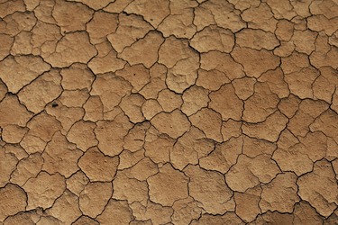 Temperaturi record în următorii cinci ani, avertizează ONU