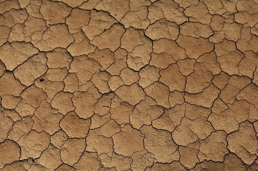 Temperaturi record în următorii cinci ani, avertizează ONU