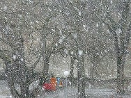 Alertă meteo, este așteptat Super - El Niño. Poate deveni unul dintre cele mai puternice fenomene înregistrate vreodată 