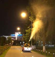 Tratamente împotriva țânțarilor și căpușelor, în București