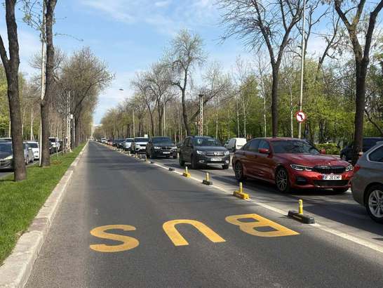 Plan de reîmpădurile în București și Ilfov pe 250 de hectare
