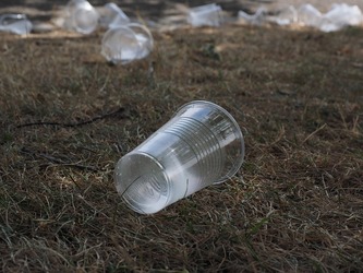 Primul meci de fotbal cu bere în tribune, prima problemă. Un suporter a aruncat cu paharul într-un jucător. Pedeapsă drastică din partea Jandarmeriei