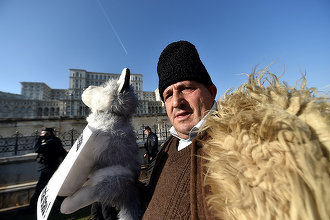 Mii de oieri vin să protesteze la București