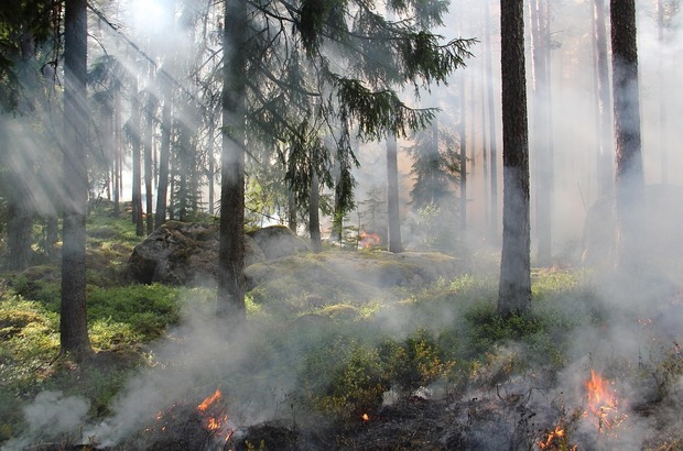 Incendii de amploare în zone greu accesibile din Caraș-Severin. Pompierii intervin cu elicoptere