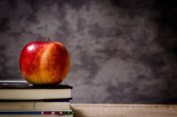 Avem un sfert de milion de profesori. 1 la 13 elevi. Aproape jumătate dintre elevii români de 15 ani nu ating însă nivelul minim de competență la citire și științe