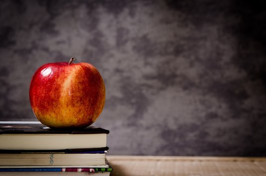 Avem un sfert de milion de profesori. 1 la 13 elevi. Aproape jumătate dintre elevii români de 15 ani nu ating însă nivelul minim de competență la citire și științe