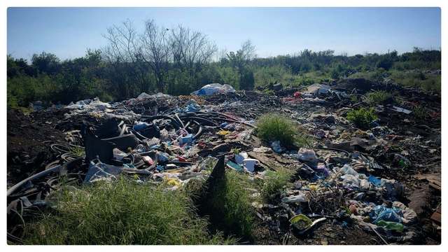 Diana Buzoianu cere stare de alertă în București și Ilfov din cauza arderilor ilegale din Sintești