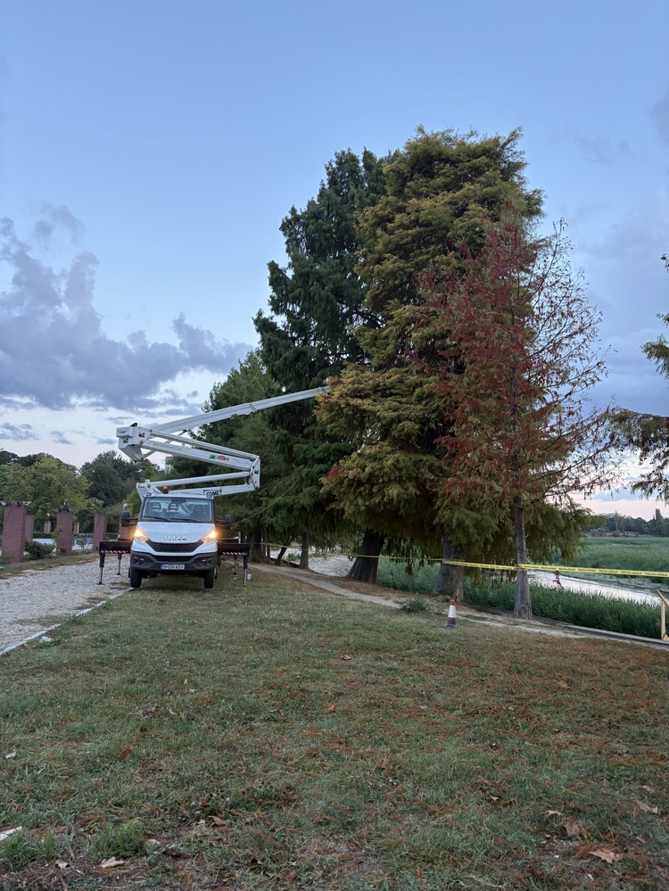 FOTO Parcul Herăstrău se pregătește pentru primele intervenții asupra vegetației