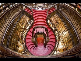VIDEO Librăria Lello din Porto, veche de peste un secol, salvată de la faliment de Harry Potter