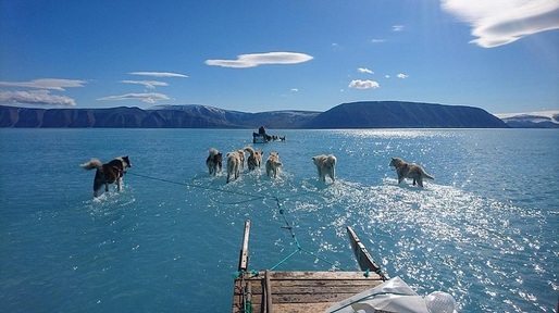 Topirea gheții, devenită virală online. Peste 40% din suprafața Groenlandei, acoperită de apă într-o zi: Poate provoca furtuni puternice în nord-vestul Europei