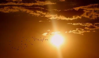 Vara astronomică debutează vineri, la ora 18.54