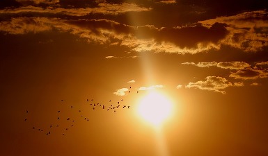 Vara astronomică debutează vineri, la ora 18.54