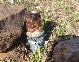 Administrația Trump a autorizat "bombele cu cianură" pentru a ucide animale sălbatice