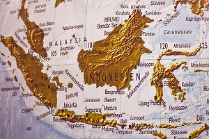 Președintele Indoneziei a anunțat amplasamentul viitoarei capitale