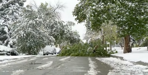 VIDEO Statul american Montana, lovit de o furtună de zăpadă. Guvernatorul a decretat stare de urgență