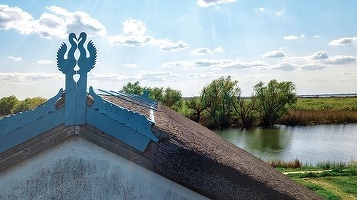 FOTO - O insulă din Delta Dunării, scoasă la vânzare pentru 350.000 de euro