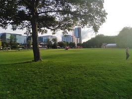 Trei persoane au murit și mai multe au fost rănite după ce au fost înjunghiate într-un parc din Reading