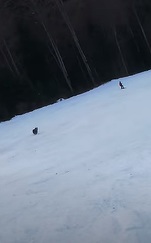 VIDEO Cât de sigure sunt pârtiile de schi ? Un turist fugărit pe pârtie la Predeal de un urs