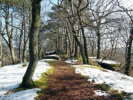 Cum va fi vremea în următoarea perioadă. Început de martie cu temperaturi mai ridicate decât cele normale
