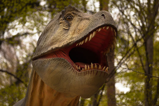 FOTO Dino Parc Râșnov, inclus în Top 50 destinații de vizitat în Europa