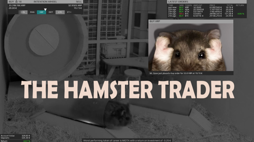 Un hamster care tranzacționează criptomonede a obținut un randament mai bun decât S&P 500