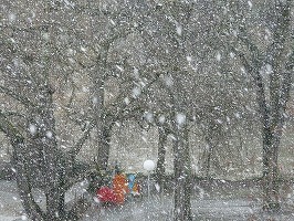 Avertizări meteo de ploi și ninsori, sâmbătă și duminică, în mai multe zone ale țării. În Oltenia și Muntenia va ploua însemnat cantitativ, la munte va ninge
