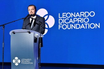 Leonardo DiCaprio investește în marca de șampanie Telmont